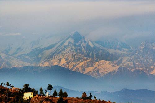 Mukteshwar Tour Packages