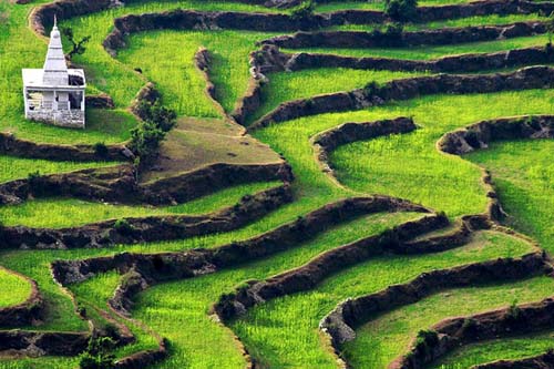 Ranikhet Tour Package